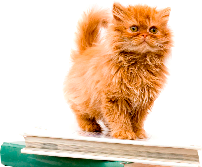 Издателство Распер Лого